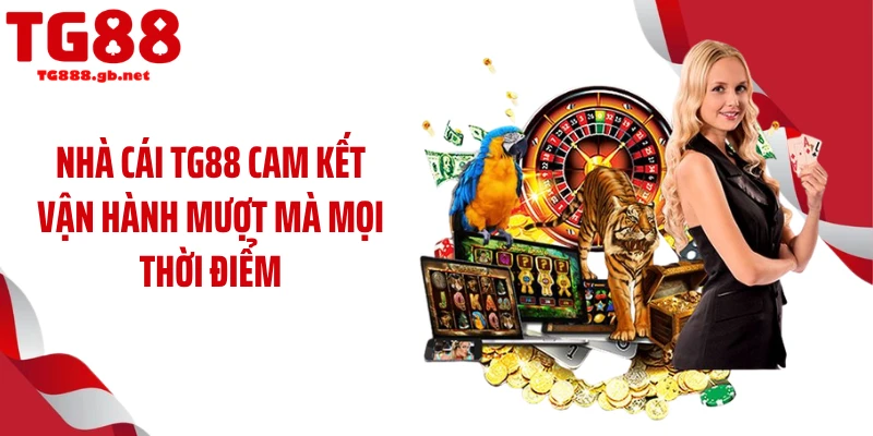 Nhà cái TG88 cam kết vận hành mượt mà mọi thời điểm